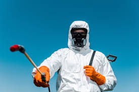 Real Estate Pest Inspections in San Pasqual, CA